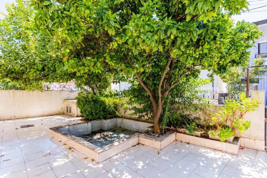 Casa Dos Azulejos Bed & Breakfast Matosinhos  Dış mekan fotoğraf